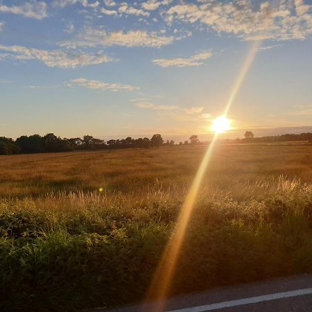 Millbatch Farm Bed & Breakfast Glastonbury Bagian luar foto